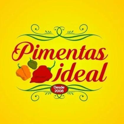 Imagem de Kit Com 4 Pimenta Em Conserva Picante Mista Artesanal 900 G