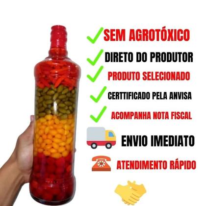 Imagem de Kit Com 4 Pimenta Em Conserva Picante Mista Artesanal 900 G