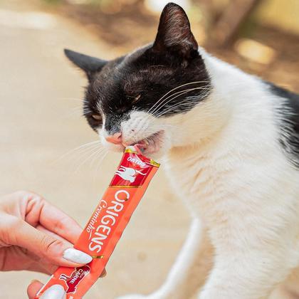 Imagem de Kit Com 4 Tubos Petiscos Para Gatos Origens Creminho Sabor Carne 60g