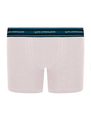 Imagem de Kit com 6 Cuecas Infantil Boxer Lupinho 141-003