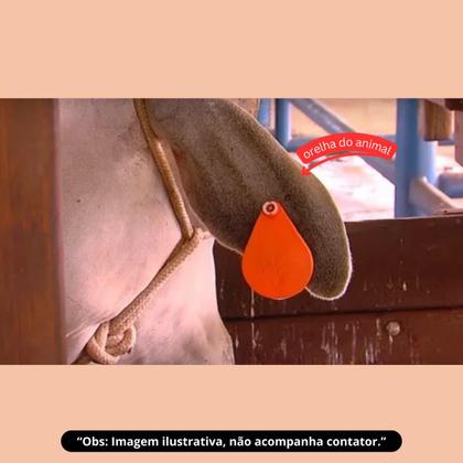 Imagem de Kit com 6 ouro fino brinco mosquicida na mosca 15 gr (pacote com 20)