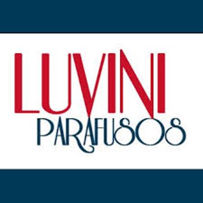 Imagem de Kit com 6 pés inox 10cm/12cm/15cm + parafusos para armários/móveis em geral