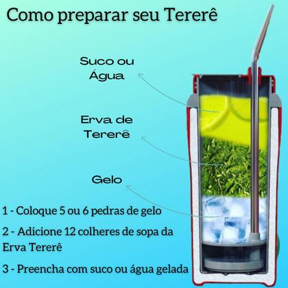 Imagem de Kit Completo Tereré Garrafa Jarra Pávia Unitermi Copo Térmico Com Bomba Inox  Erva Black ErvaMate Escolha