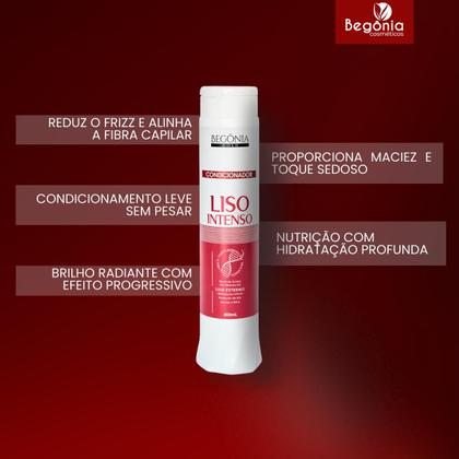 Imagem de KIT Condicionador Begonia Liso Intenso 400ml 12 Unds