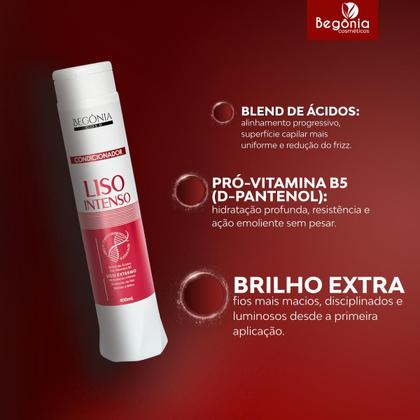 Imagem de KIT Condicionador Begonia Liso Intenso 400ml 12 Unds