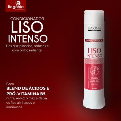 Imagem de KIT Condicionador Begonia Liso Intenso 400ml 12 Unds
