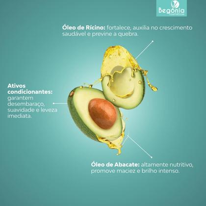 Imagem de KIT Condicionador Begonia Nutrição Capilar 400ml 12 Unds