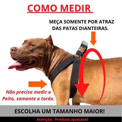 Imagem de Kit Confortável Coleira Peitoral Guia Focinheira Pitbull Golden Roweiller Dogvix