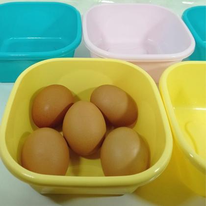 Kit Conjunto Tipo Tapower Com Tampa 690 Ml 5 Peças Jaguar - Pote