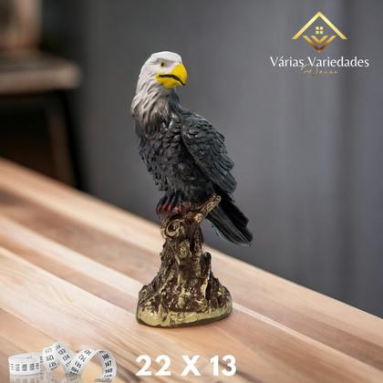 Imagem de Kit Coruja Base M E 2 Gavião Peq E Gr Espanta Pombo e Passasinhos Em Gesso - VÁRIAS VARIEDADES