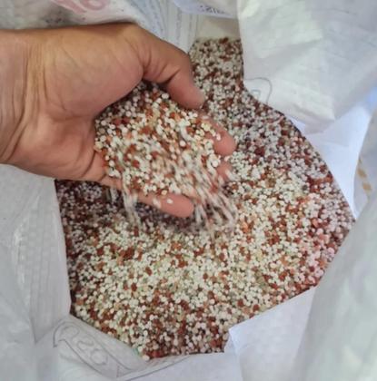 Imagem de Kit De Adubo Granulado Para Flores Plantas Npk 20-05-20 1kg Para Plantação Planta