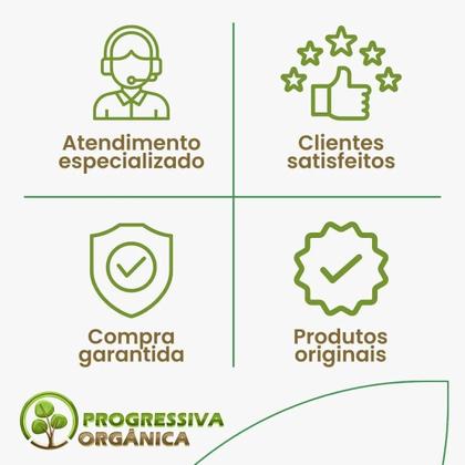 Imagem de Kit De Escova Progressiva 100% Liso, Sem Formol