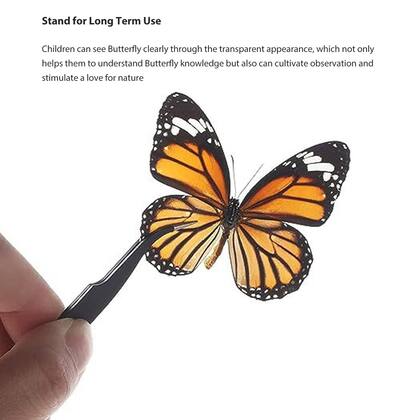 Imagem de Kit de ferramentas para amostras de borboletas AUNMAS Butterfly Display