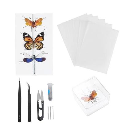 Imagem de Kit de ferramentas para amostras de borboletas AUNMAS Butterfly Display