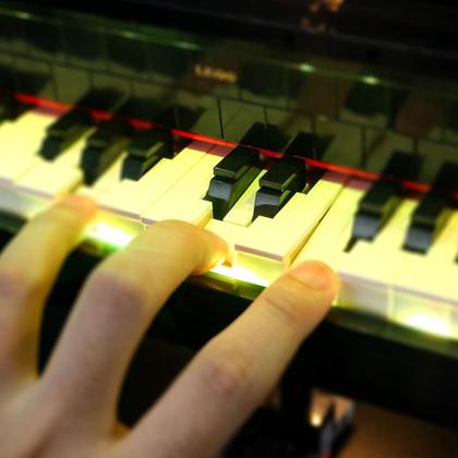 Imagem de Kit de iluminação LED BRIKSMAX para modelo de piano de cauda Lego 21323