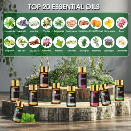 Imagem de Kit de Óleos Essenciais MAYJAM 20x5 ml  Kit Presente de Aromaterapia