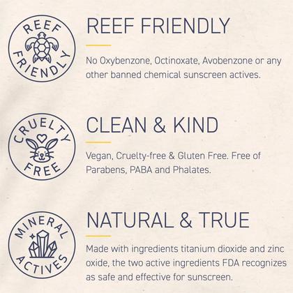 Imagem de Kit de proteção solar Brush On Block Full Face SPF30