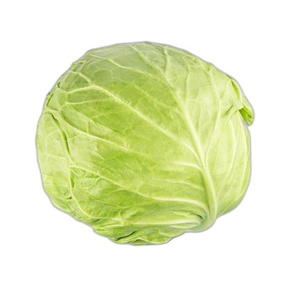 Imagem de kit de Sementes 10 Variedades de hortaliças