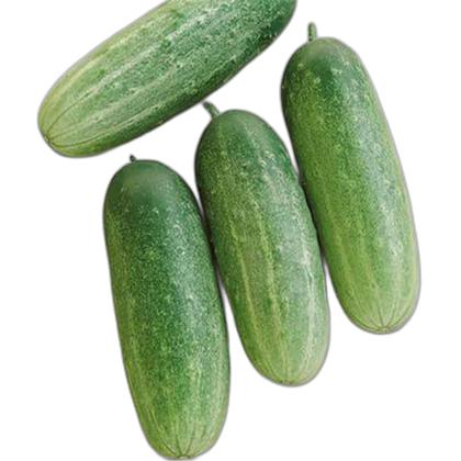 Imagem de kit de Sementes 10 Variedades de hortaliças