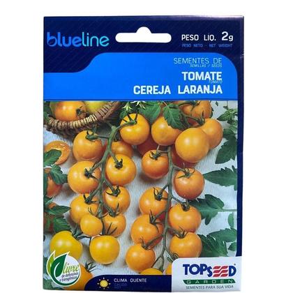 Imagem de Kit de Sementes Tomates Pera Vermelho, Cereja Laranja e Samambaia Saboroso Doce 1 env cada