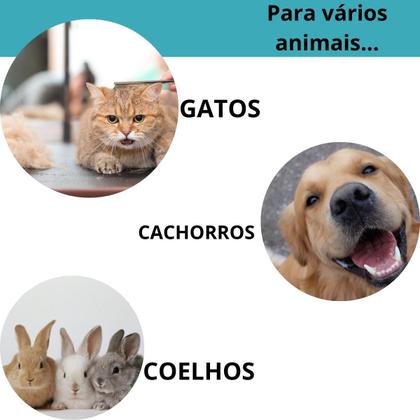 Imagem de Kit de Tosa Pet com 4 Pentes Ajustáveis