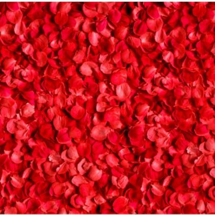 Imagem de KIT Dia dos namorados 6 balões 10 velas 200 pétalas Venda