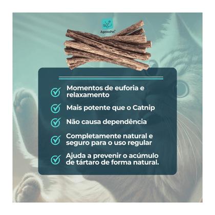 Imagem de Kit Diversão e Relaxamento para Gatos Buddy Fish e Matatabi