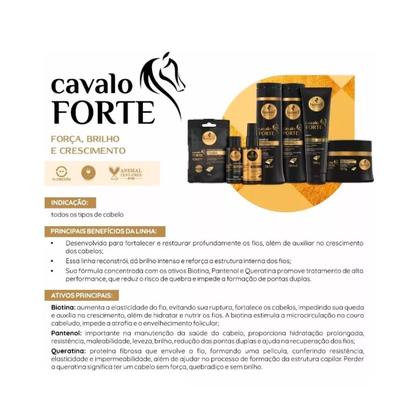 Imagem de Kit Duplo 2 Másc 500g. 2 Cond 300ml. 2 Complexo Cavalo Forte (Ganhe 1 Mini Cronograma)