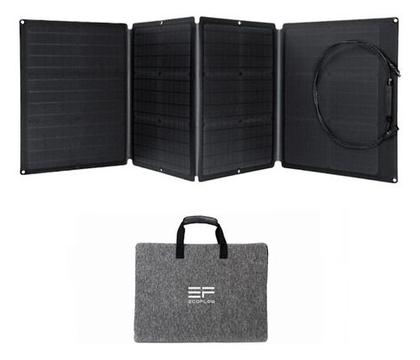 Imagem de Kit Ecoflow Gerador Delta 3 1800w 220v + Painel 110w