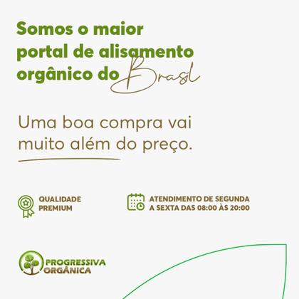 Imagem de Kit Escova Progressiva Profissional Orgânica 100% Sem Formol