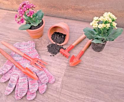 Imagem de Kit Ferramentas Jardinagem Conjunto 4pç Mini P/ Vaso Prático