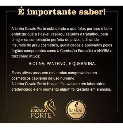 Imagem de Kit Haskell Cavalo Forte Grande 2 Shampoos 2 Máscaras