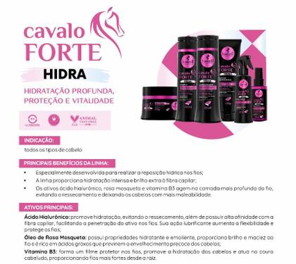 Imagem de Kit Haskell Cavalo Forte Hidra Shamp Cond Masc 500ml Mimo