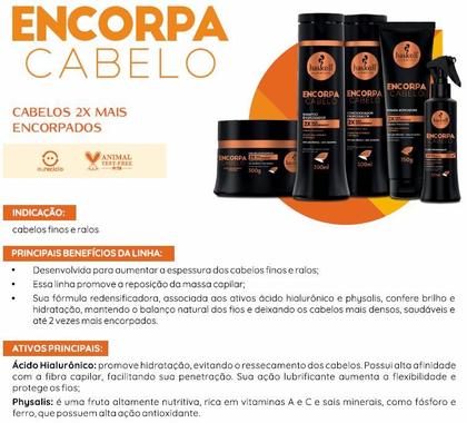 Imagem de Kit Haskell Encorpa Cabelo Shamp cond Masc 500ml Mimo