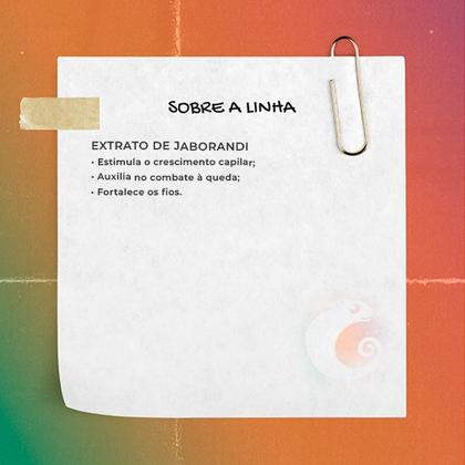 Imagem de Kit Haskell Jaborandi Sh e Condicionador 500ml