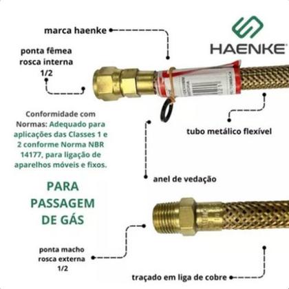 Imagem de Kit Instalação Aquecedor Gás Mais Segurança 30cm 1/2 Haenke