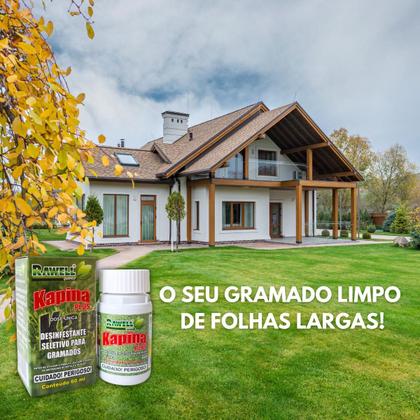 Imagem de Kit Kapina Plus 60ml 2 UN Elimina Tiririca e Folhas Largas