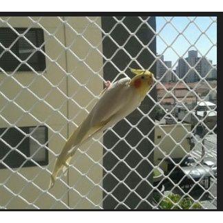 Imagem de Kit Malha 3x3 Rede Tela de Proteção 1.40X5.50 Para Gatos Filhotes, Pássaros e Crianças (5.50x1.40)