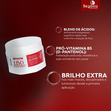 Imagem de KIT Máscara Begonia Liso Intenso 300g 3 Unds