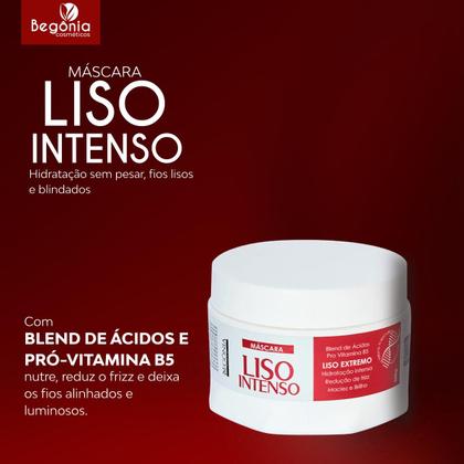 Imagem de KIT Máscara Begonia Liso Intenso 300g 3 Unds