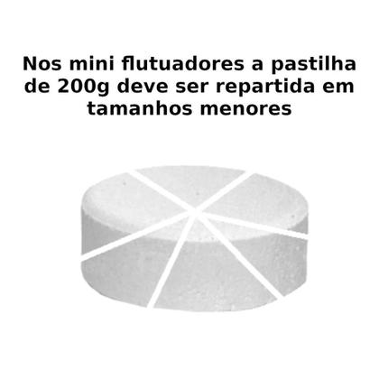 Imagem de Kit Mini Flutuador + 1 Pastilha de Cloro 200g + Prova de Ph e Cloro