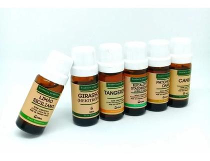 Imagem de Kit Óleo Essencial Canela + Óleo Vegetal Rosa Mosqueta 10ml
