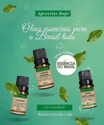 Imagem de Kit Óleo Essencial Cipreste + Pronto P/ Uso Roll On 10ml