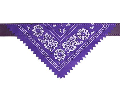 Imagem de Kit Para Passeio Com Guia Comprida 5 Metros Azul E Coleira Bandana P Roxa