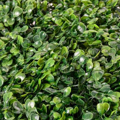 Imagem de Kit Placas De Grama Buchinho 40x60 Jardim Vertical Artificial