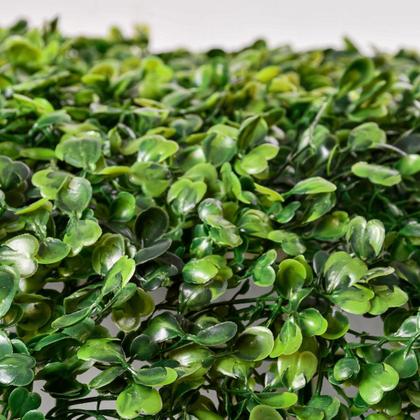 Imagem de Kit Placas De Grama Buchinho 40x60 Jardim Vertical Artificial