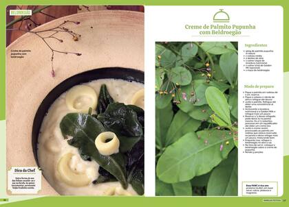Imagem de Kit - Plantas Alimentícias Não Convencionais - 2 Livro