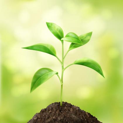 Imagem de Kit Remo Nutrients 1 Litro 7x - 4 Litros