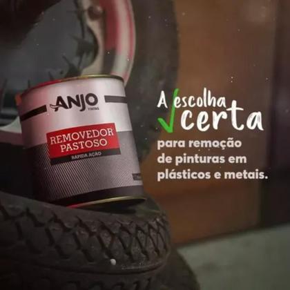 Imagem de Kit removedor pastoso 1kg + trincha media