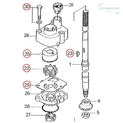 Imagem de Kit Reparo bomba de agua pro motor 15hp 18hp e 25hp toratisu